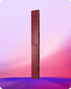 BIOMAX-PRO-GRANDE-+-GRANDE_1